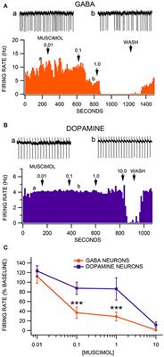 Ventral Tegmental Area GABA Neurons Are Resistant to GABA(A) Receptor-Mediated Inhibition During Ethanol Withdrawal